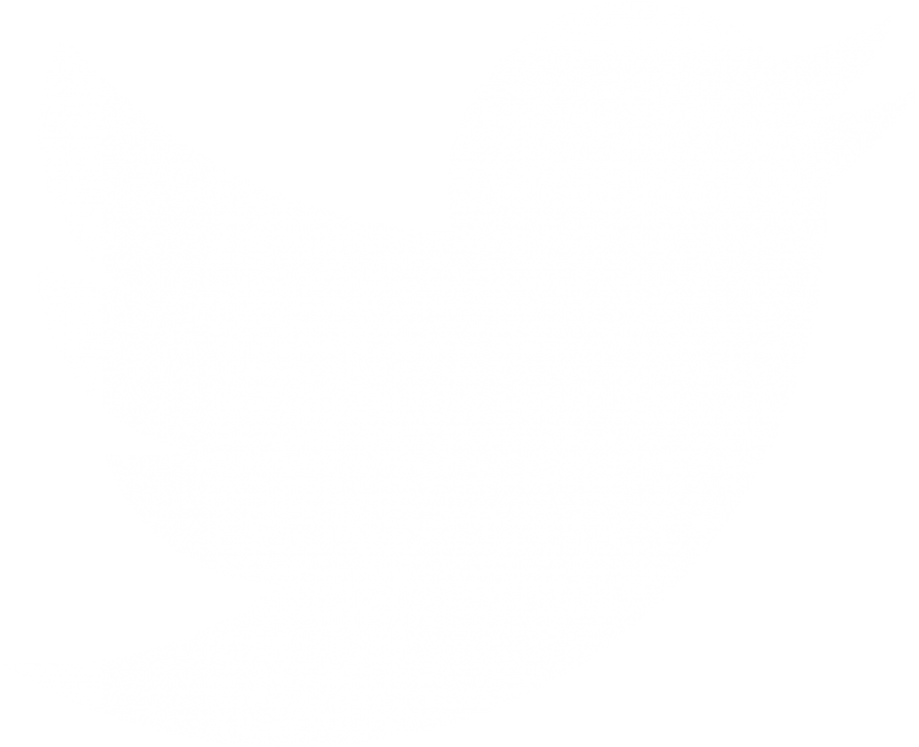 twitter logo icon